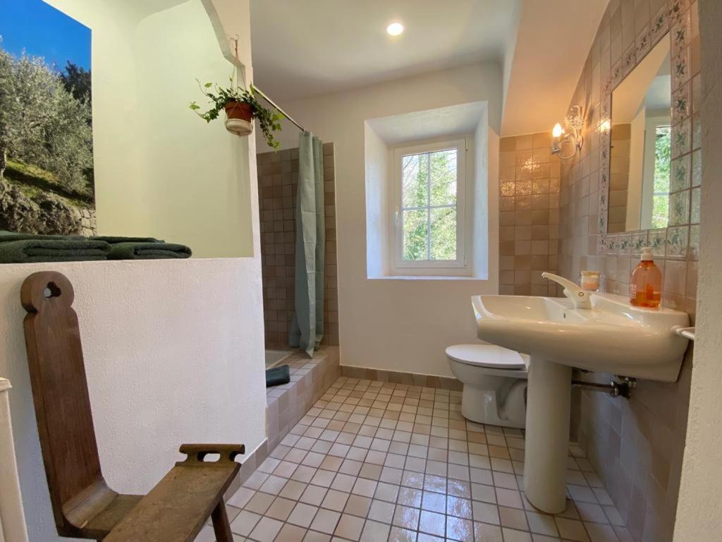 Mas Bella Vida - Chambres D'Hotes Puget-Théniers 外观 照片