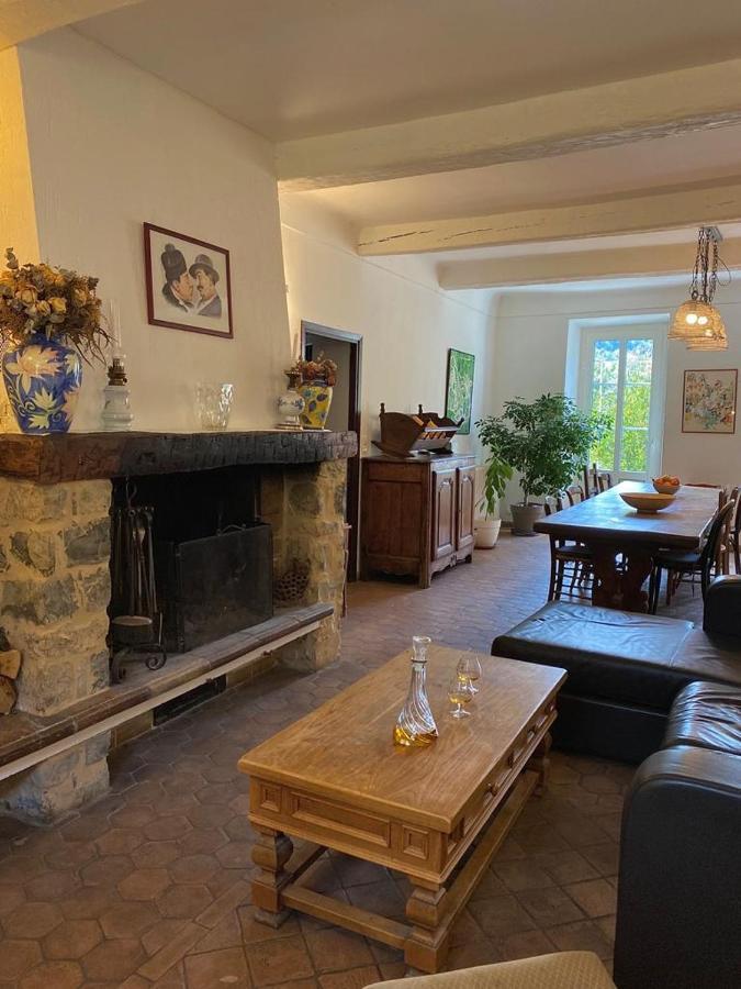 Mas Bella Vida - Chambres D'Hotes Puget-Théniers 外观 照片
